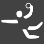 Hallenhandball
