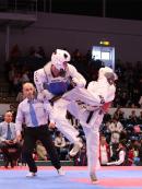 Freikarten fr die German Open Taekwondo